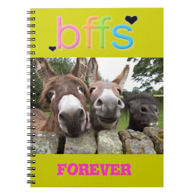 BFF'S Smiling Donkeys Notebook (Front)