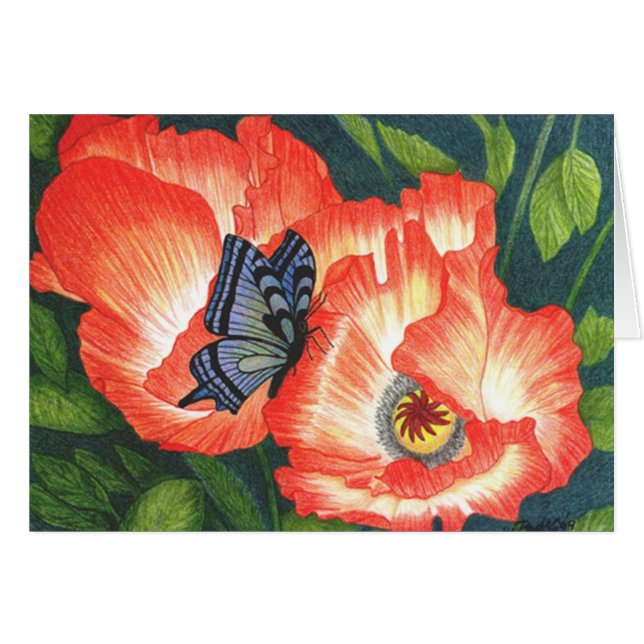 BFLYPOPY (Front Horizontal)