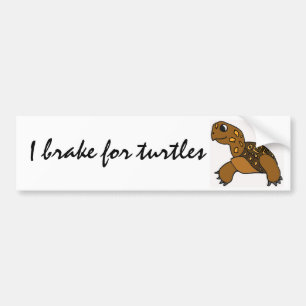 BG- I brake for turtles stickers