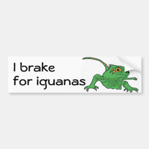Bh- I brake for iguanas bumper sticker