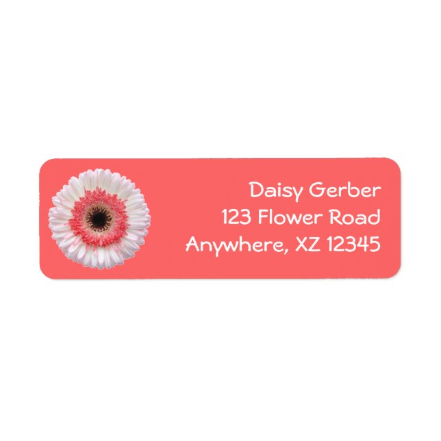 Bi-Colour Gerber Daisy (Front)