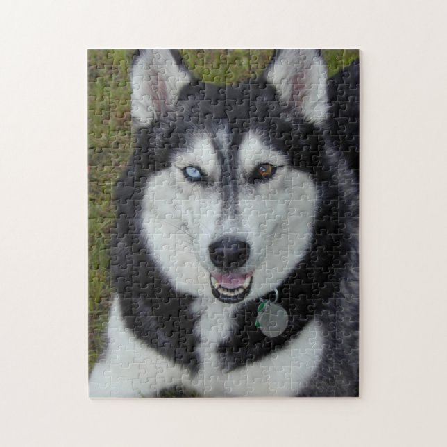 Bi-Eyed Siberian Huskie Jigsaw Puzzle (Vertical)