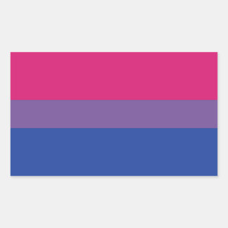 Bi Flag Rectangular Sticker