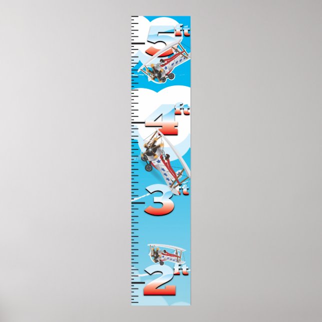 Bi-Plane USA Growth Chart (Front)