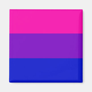 Bi pride flag magnet
