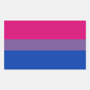 Bi Pride Flag Sticker Sheets (Rectangle)