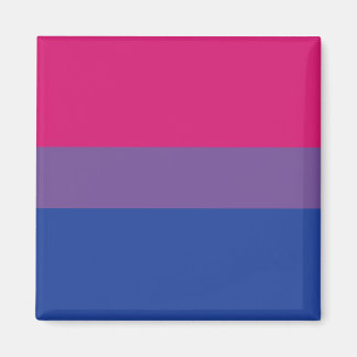 Bi Pride magnet