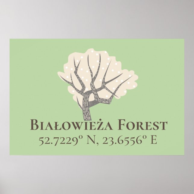 Białowieża Forest Latitude & Longitude Poster (Front)