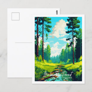 Bialowieza Forest Poland vintage travel place Postcard