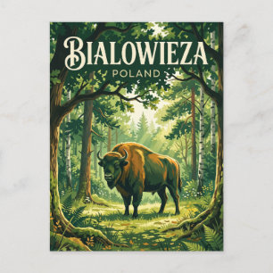 Bialowieza National Park Poland Postcard