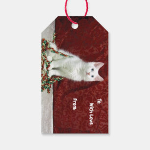 Bianca's Maine Coon Christmas - Cat Gift Tag