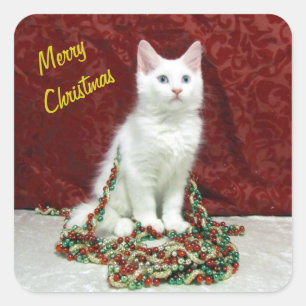 Bianca's Maine Coon Christmas - Cat / Kitten  Square Sticker