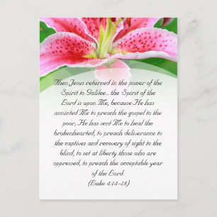 Bible passage, pink lily postcard