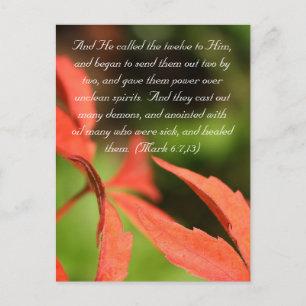 Bible passage, red leaves close up postcard