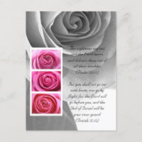 Bible passage, rose close up black and white