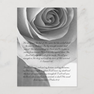 Bible passage, rose close up black and white postcard
