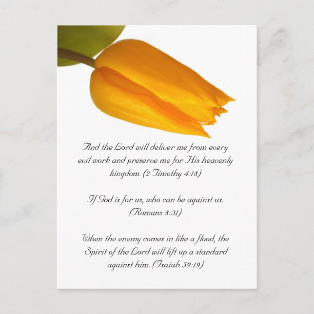 Bible passage, yellow tulip postcard (Front)