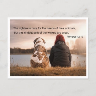 Bible quotation Proverbs 12 v 10 Postcard