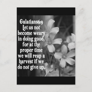 BIBLE SCRIPTURE GALATIANS 6:9 POSTCARD