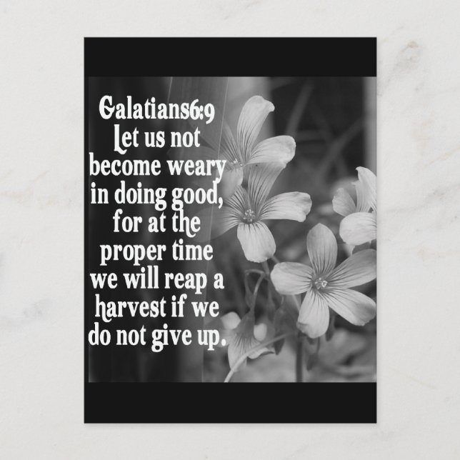 BIBLE SCRIPTURE GALATIANS 6:9 POSTCARD (Front)