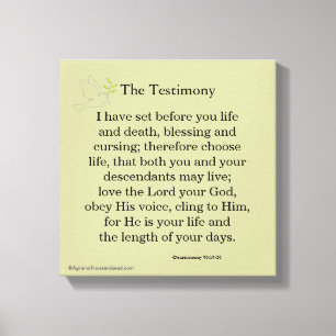 Bible Scripture Inspirational Canvas Print