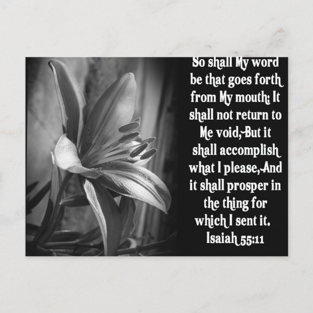 BIBLE SCRIPTURE ISAIAH 55:11 POSTCARD (Front)