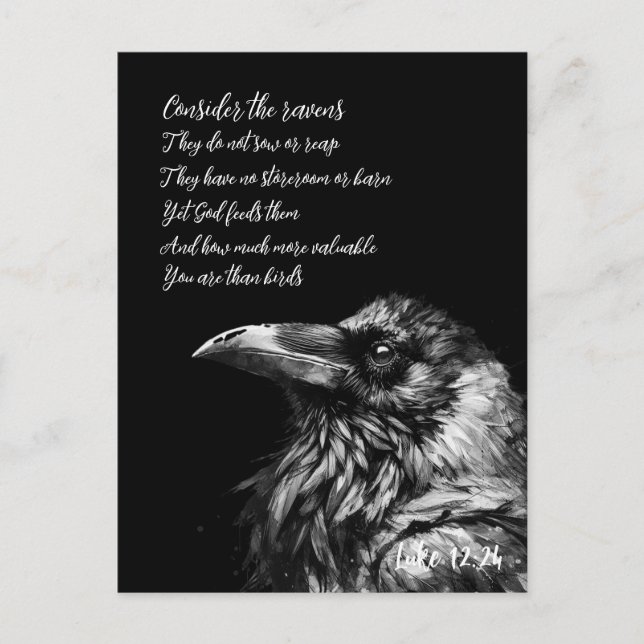 Bible Scripture Luke 12:24 Postcard (Front)