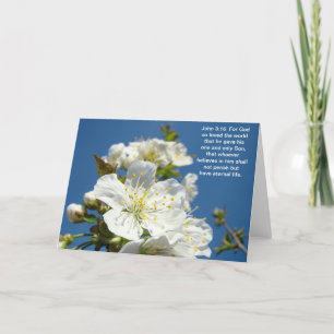 Bible Scripture Saviour Blossoms John 3:16 Holiday Card