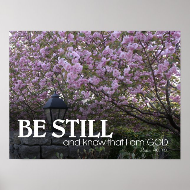 Bible Verse Cherry Blossoms Poster (Front)