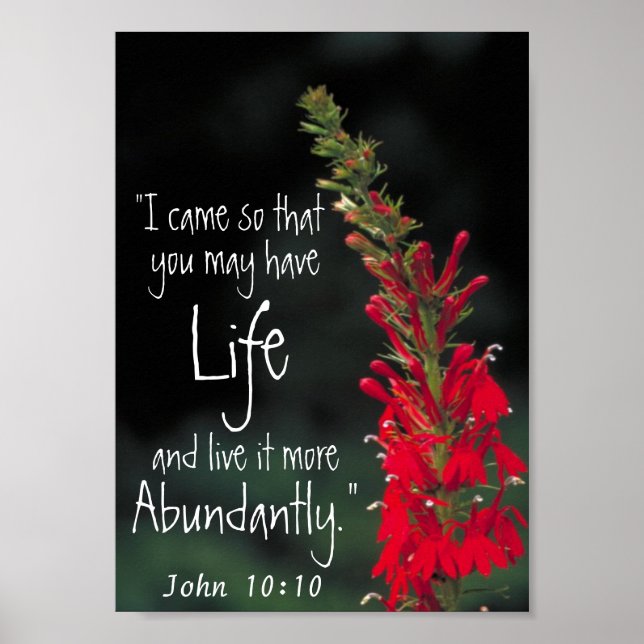 bible verse encouragement John 10:10 Poster (Front)