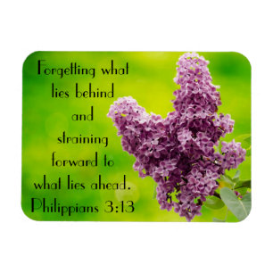 Bible verse encouragement Philippians 3:13 Magnet