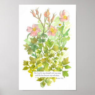 Bible Verse Exodus 15 2 Pink Primrose Flowers Poster