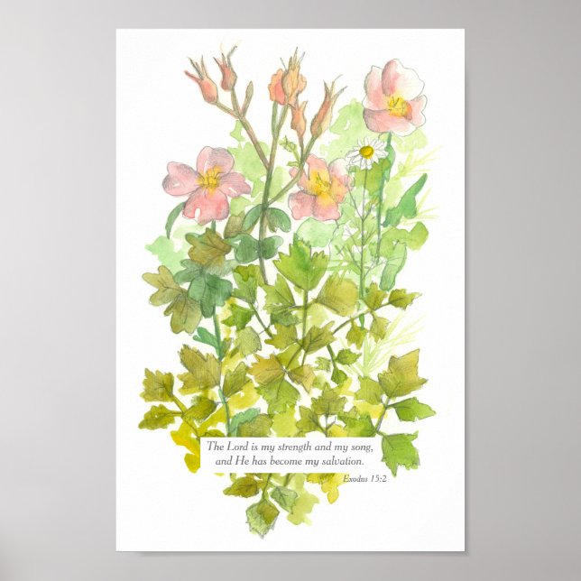 Bible Verse Exodus 15 2 Pink Primrose Flowers Poster (Front)
