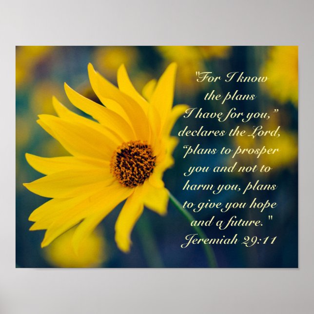 Bible Verse Jeremiah 29:11, Yellow Wildflower Poster (Front)