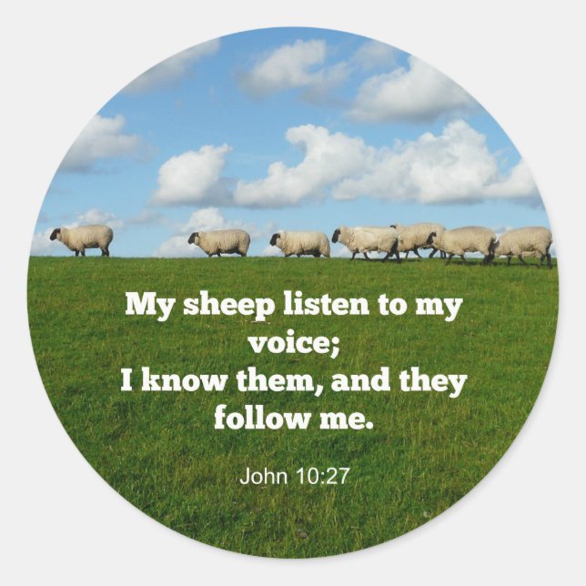 Bible verse, John 10:27, My sheep... Classic Round Sticker (Front)