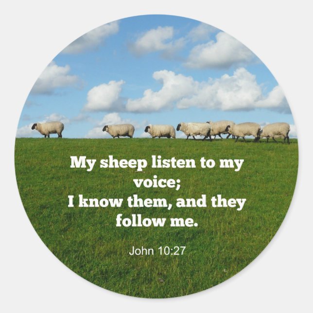 Bible verse, John 10:27, My sheep... Classic Round Sticker (Front)