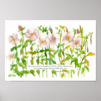 Bible Verse Matthew 6 33 Pink Primrose Flowers