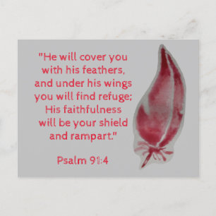 Bible Verse Postcard Psalm 91:4 Feathers