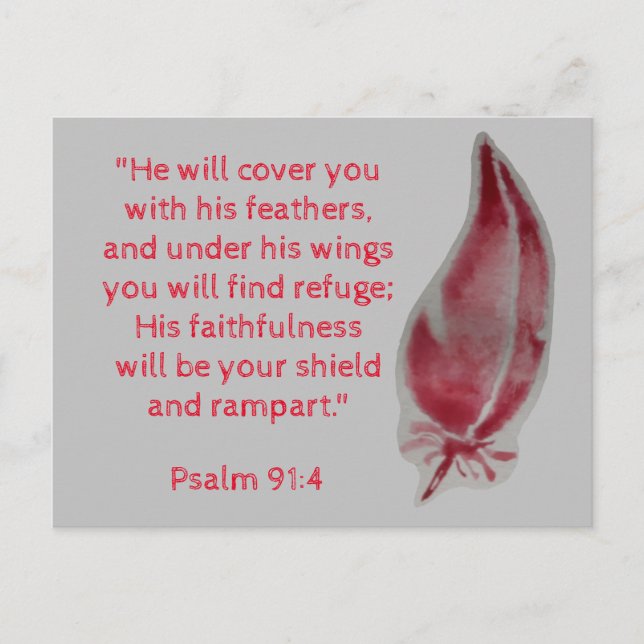 Bible Verse Postcard Psalm 91:4 Feathers (Front)