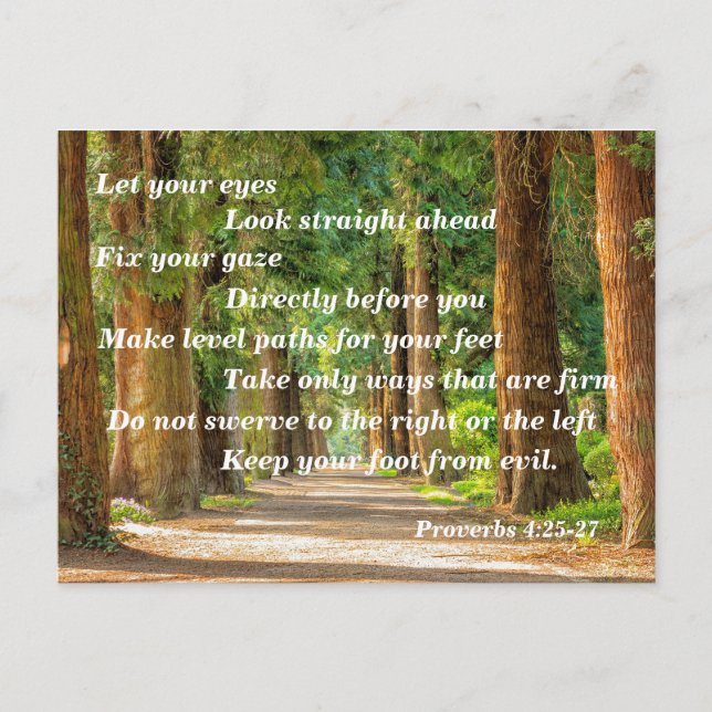 Bible Verse Proverbs 4:25-27 Postcard (Front)