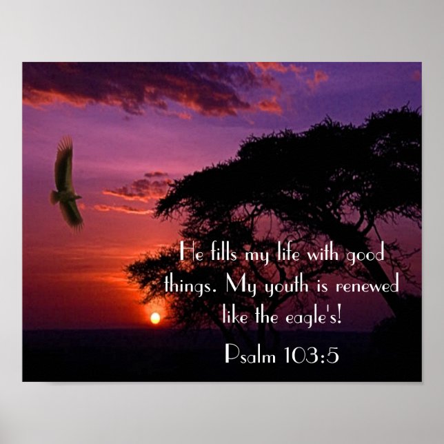 bible verse Psalm 103:5 sunset and eagle Poster (Front)