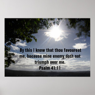 Bible verse Psalm 41:11 Poster