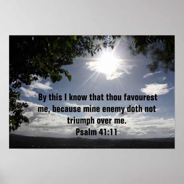 Bible verse Psalm 41:11 Poster (Front)