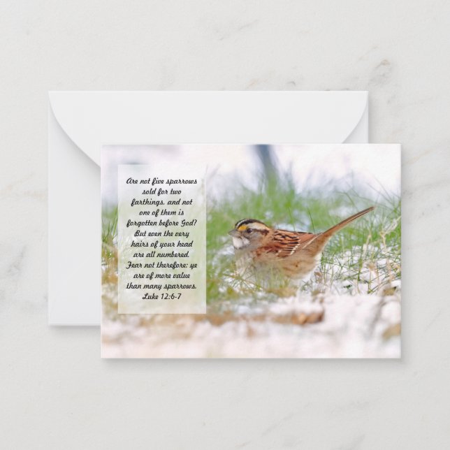 Bible Verse Scripture Note Card Sparrow KJV (Front)