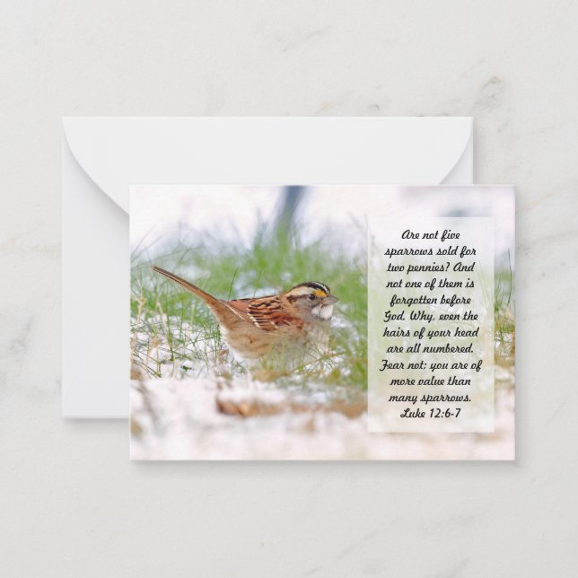 Bible Verse Scripture Note Card Sparrow Religion (Front)