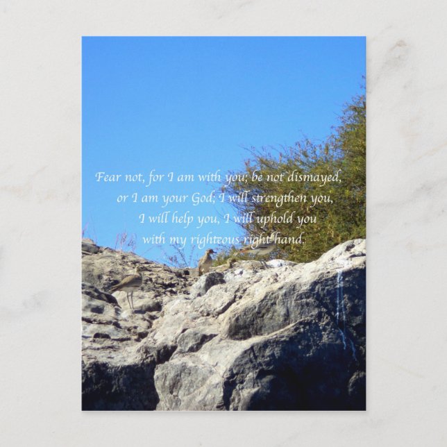 Bible Verses Inspirational Quote Isaiah 41:10 Postcard (Front)