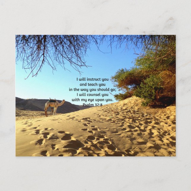 Bible Verses Inspirational Quote Psalm 32:8 Postcard (Front)