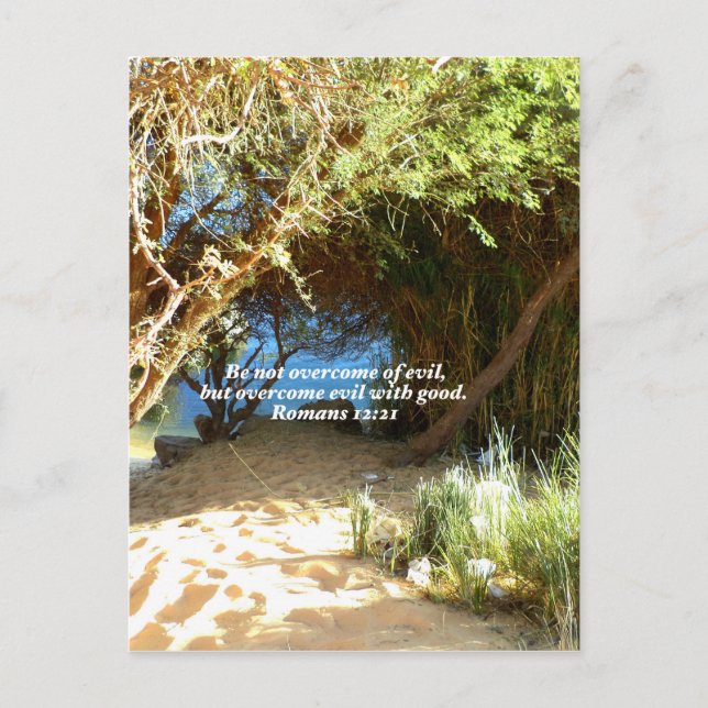 Bible Verses Love Quote Saying Romans 12:21 Postcard (Front)