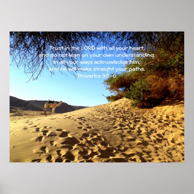 Bible Verses Quote about Trust Proverbs 3:5-6 Poster (Front)