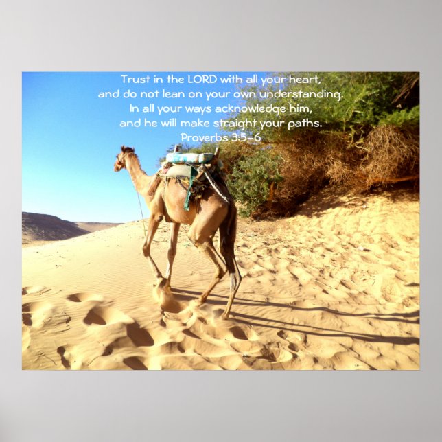 Bible Verses Quote about Trust Proverbs 3:5-6 Poster (Front)